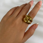Cashew (Size 6)